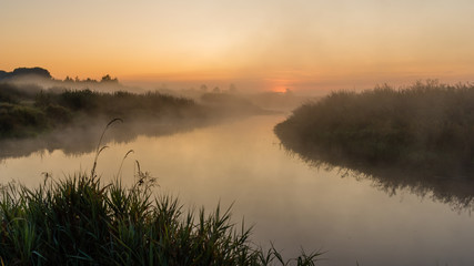 Poranek w Dolinie Narwi, Podlasie, Polska © podlaski49