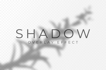 Shadow overlay effect. Transparent soft light and shadows from plant branches, leaves and foliage. Mockup of transparent shadow overlay effect and natural lightning