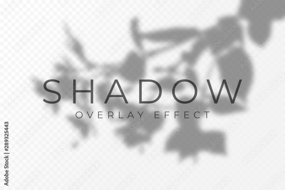 Leinwandbilder Shadow overlay effect. Transparent soft light and shadows from plant branches, leaves and foliage. Mockup of transparent shadow overlay effect and natural lightning