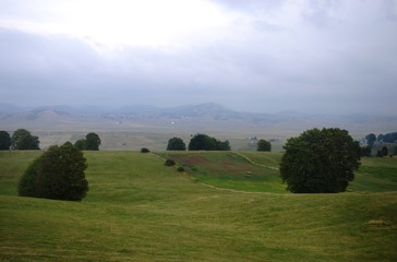 landscape of mountain meadows in the morning