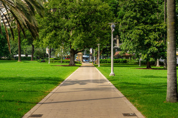 Hyde Park, Sydney, Australia. Green Oasis in Sydney’s Downtown.