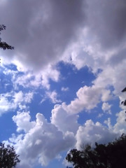  Louisiana Cumulus Rain Clouds Above In The Sky