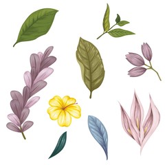 Beautiful vintage hand drawn floral vector