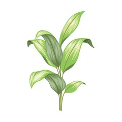 Beautiful vintage hand drawn floral vector