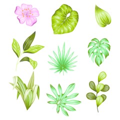 Beautiful vintage hand drawn floral vector