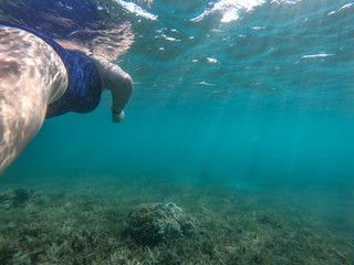 Diving woman and underwater background. 