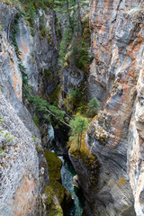Maligne Canyon