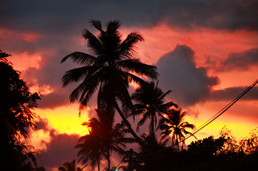 Fototapeta na wymiar Beautiful sunset in Sri-Lanka