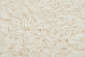 top view of unprocessed organic white rice