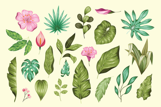 Beautiful vintage hand drawn floral vector