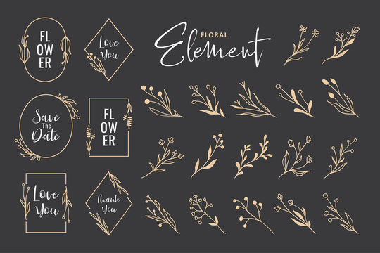 Beautiful hand drawn floral wreath vector collection