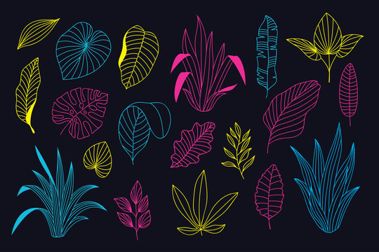 Beautiful neon hand drawn floral vector collection