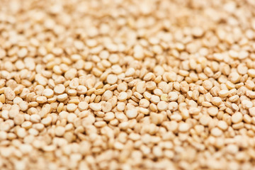 close up view of small white quinoa seeds
