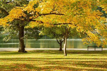new england autumn at the reservoir park