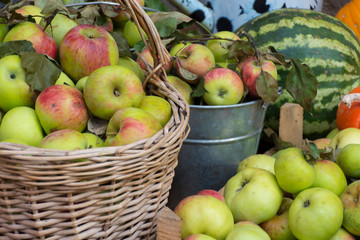 green and red apples in a wicker basket