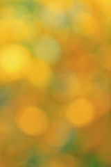 green, yellow, orange bokeh blurred background