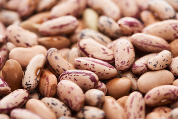 close up view of raw pinto beans