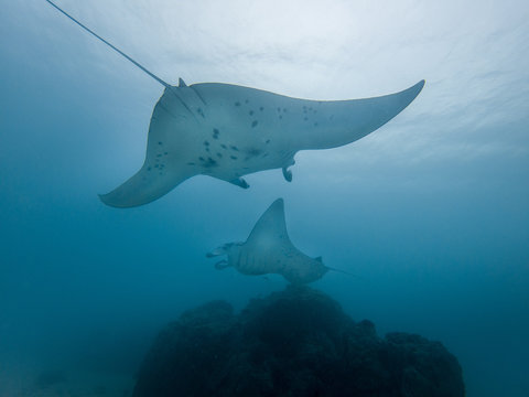 C:\DCIM\100GOPRO\GOPR0749.GPR