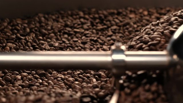 Close-up shot of production of fresh fried coffee beans roasting factory process