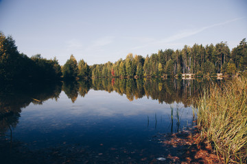 beautiful forest is reflected in the smooth surface of the lake