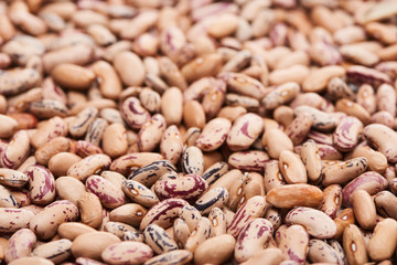 close up view of mix of raw organic beans