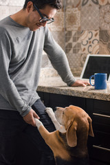 Young man plays with his dog at home 