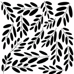 Black branches with leaves on white background