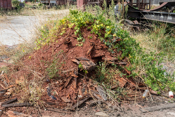 Old Garbage From Broken Red Bricks Covered With Green Grass