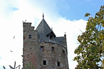 Der Graue Turm in Fritzlar mit ausfliegenden jungen Turmfalken (Falco tinnunculus)
