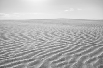 Fototapeta na wymiar paradise oasis lake in desert with sand dunes Lençois Maranhenses black and white
