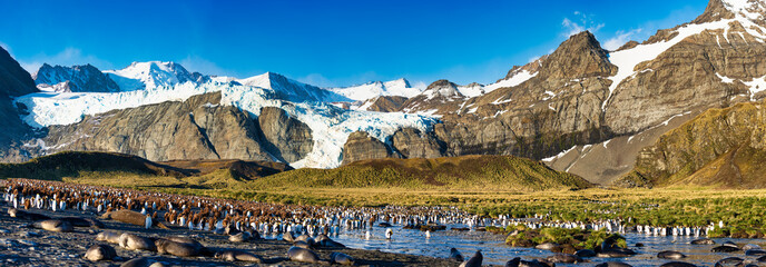 Glaciers in Gold Harbor South Georgia Island