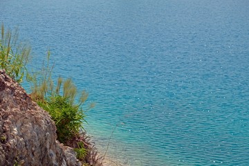 Bright blue water with reflection of sunlight and naturally beautiful Common reed, Cane Grass, European common reed, Phragmites australis moving by the wind  on the rock.