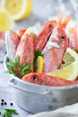 Fresh striped red mullet in a tin basket with slices of lemon and parsley leaves