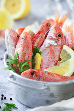 Fresh striped red mullet in a tin basket with slices of lemon and parsley leaves