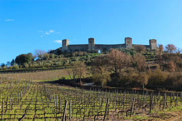 Fototapeta na wymiar vineyards at the foot of the hill with monterrigioni castle in tuscany