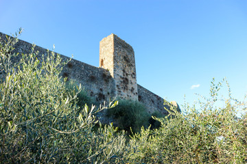 Fototapety na wymiar - Fototapeta24.pl