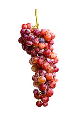 nature Red grapes on a white background