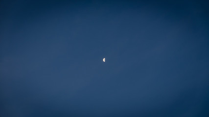 Half moon in a dawn sky