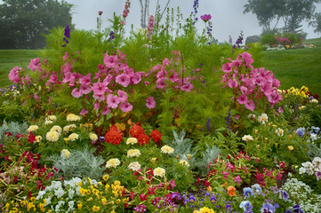 Foggy Summer Flower Display