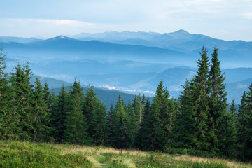 mountain range cavered with blue fog in carpathin mountains