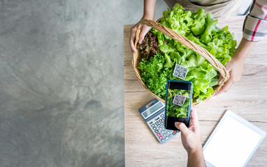 QR Code scanner buying hydroponics vegetables on basket in market greenhouse, Organic farmer working technology with Smartphone payment and shopping digital cashless society, Online farmers business