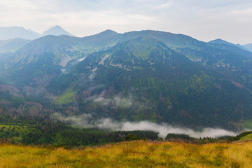 Fototapeta premium Fog spreads in Tatra mountains