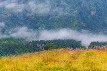 Fog spreads in Tatra mountains