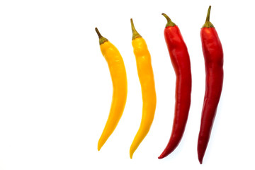 Four colorful chili peppers in a row with white background