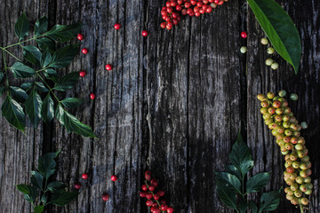  Beautiful berries and wood background images