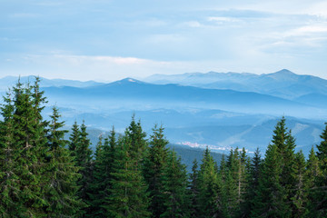 mountain range cavered with blue fog in carpathin mountains