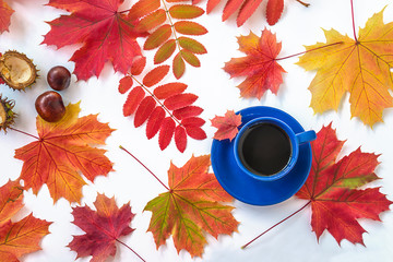 Beautiful autumn composition with cup of coffee and multicolred maple leaves wooden background. Top view