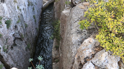 Etruscan cut in Ansedonia, Maremma Toscana. A canary dug into th