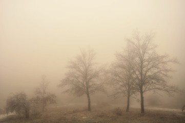 Fototapeta na wymiar Mysterious winter foggy landscape