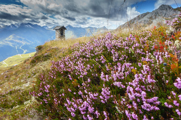Fototapeta na wymiar Marterl am Wanderweg in den österreichischen Bergen im Herbst